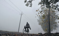 A man, fully drapped, ventures out on his bicycle on a foggy day in Ludhiana. a file photograph
