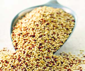 It is a small seed which looks like a cross between sesame seeds and millets but is unrelated to the grain family