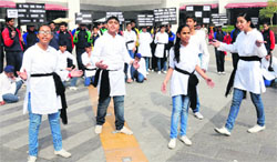 Students of Saupins School present a dance at Elante Mall. Tribune photo