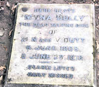 The 98-year-old grave of a pet mynah Dolly at the residence of educationist SP Singh in Dehradun.