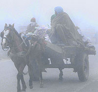 Carts make their way through thick fog in Amritsar on Thursday