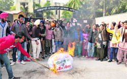 Guest faculty lecturers burn an effigy of fake promises outside Government Rajindra College in Bathinda on Thursday. Tribune photo