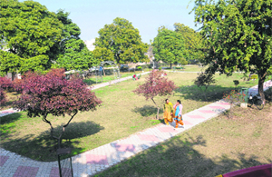 A neighbourhood park in Chandigarh.
