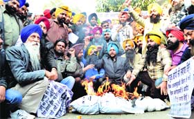 Youth Akali Dal activists burn an effigy of Congress vice-president Rahul Gandhi in Ludhiana on Thursday
