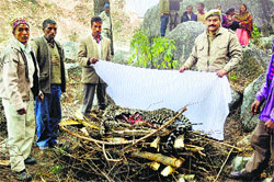 Forest officials incinerate the leopard carcass at Mehla on Thursday evening.
