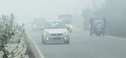 Dense fog has reduced visibility to near zero in Ludhiana. Photo: Inderjeet Verma 