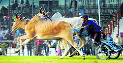 Minoru Tonita and Katsuya got the crowds behind them at the Kila Raipur Games