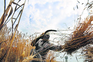 The imperial regimes believed that the more the farmer was economically squeezed, the more he produced