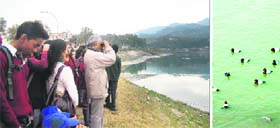 A group of students and tourists enjoy a visual treat at the BBMB reservoir and (right) migratory birds at a reservoir in PSundernagar