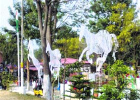 Creative horses made by NIFT students at Spectrum 2014 in Kangra