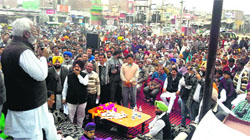 State Health Minister Surjit Kumar Jyani addresses people at Ladhuka Mandi in Fazilka district on Monday. Tribune photo