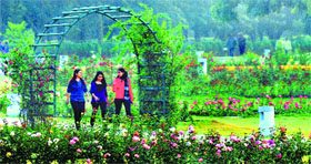 Girls take a stroll at Rose Garden in Sector 16, Chandigarh.