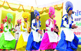 Best foot forward: Students perform bhangra during an art and craft festival at Government Girls Senior Secondary School in Bathinda on Wednesday.