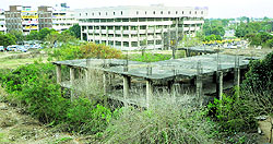 The site where the Rs 120-crore ambitious Nehru Centre for Performing Arts (NCPA) is to come up at Sector 34 in Chandigarh