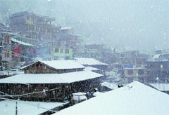 Manali wears a white blanket on Thursday. Photo: MC Thakur