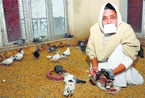 Sadhwi Dalima, an attendant at Jeevo Mangalam, caress a bird in Karnal on Wednesday.