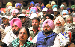 The gathering at annual function of the PAU Kisan Club in Ludhiana on Thursday. tribune Photo: Himanshu Mahajan