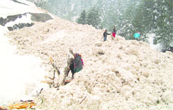 People collect firewood after an avalanche hit the Khanoni Nullah in Manali on Friday. Photo: MC Thakur
