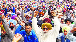 Members of PSEB Employees Federation hold a dharna in Patiala on Friday
