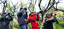 Birdwatchers look for new bird species during the 4th Chandigarh Bird Race on Sunday