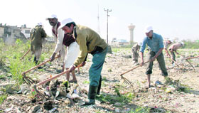 Daily wage workers pick garbage and polythene bags lying on the dry Rispana riverbed in Dehradun on Tuesday.
