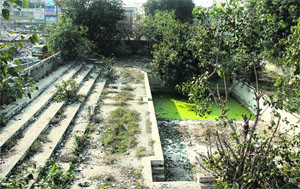 The Jalandhar Improvement Trust's swimming pool in a deplorable condition near the Bhagat Singh Chowk area.
