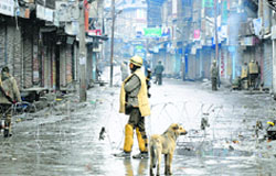 A security forces personnel guards a deserted street on the third day of restrictions at Budshah Chowk in Srinagar on Tuesday. Tribune Photo: Amin War 