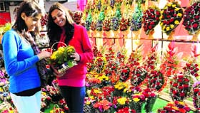 LOVE IS IN THE AIR: Girls choose a bouquet at a shop on the eve of Valentine's Day in Sector 34, Chandigarh, on Thursday