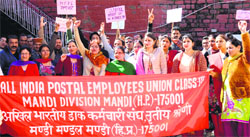 Postal staff raise slogans in support of their demands in Mandi on Thursday.