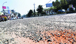 A damaged road in Ludhiana. A Tribune photograph