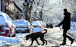 A man walks with his dog across a snow-covered street in Brooklyn, New York, on Friday