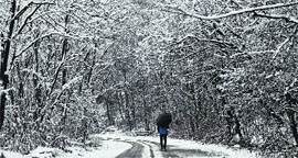 A man walks on a snow-covered road during snowfall in Srinagar on Sunday.