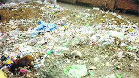 Garbage scattered in Doda city.