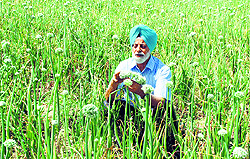 National award recipient Mohinder Grewal spends time in his fields
