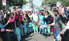 Multipurpose health workers burn an effigy of Member of Parliament Harsimrat Kaur Badal in Bathinda on Monday.