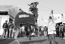 A camel dances during the Agriculture Summit at Chappar Chhiri village in Mohali on Monday. Tribune photo: Vicky Gharu