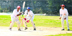 A match in progress during the Inter-District Cricket Championship at Guru Nanak Public School in Sector 36, Chandigarh, on Monday. Tribune photo: Pradeep Tewari