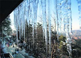 Icicles hang from a roof of a house in Shimla on Monday