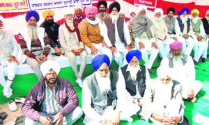 Sikh activists stage a dharna outside MP Ashok Tanwars residence in Sirsa on Tuesday.