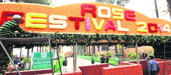 The stage is set for the Rose Festival at Rose Garden in Sector 16, Chandigarh, on Thursday. Tribune Photo: Pradeep Tewari