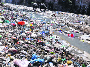 The riverbed of the Rispana covered with garbage in Dehradun. Tribune photo: Abhyudaya Kotnala