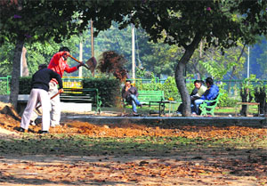 Labourers work at Students Home Compound in Punjab Agricultural University, Ludhiana.