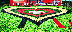 The world's largest heart mosaic (above) was created in Ludhiana during the Annual Conference of Association of Physicians of India on Friday