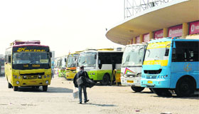 Private buses parked at the Jalandhar bus stand.