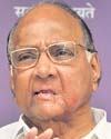 Sharad Pawar, Union Agri Minister