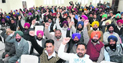 Veterinary inspectors at their annual meet at Desh Bhagat Yadgar Hall in Jalandhar on Sunday. Tribune Photo : Malkiat Singh