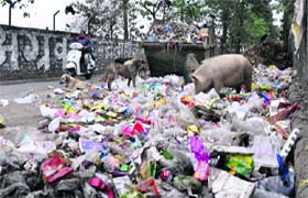 A heap of garbage at Pathribag area in Dehradun on Monday