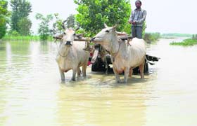 A flooded road in Lakshar tehsil of Haridwar district during last years mid-June flash floods in the state