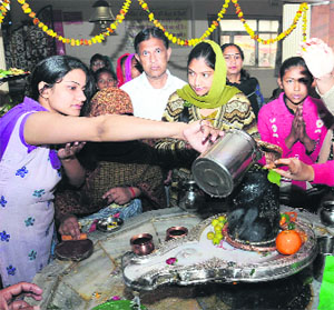 Devotees offer milk on a shivalinga on the occasion of Shivratri at Pracheen Shiv Mandir in Bathinda on Thursday.