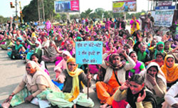 Members of the Democratic Mid-day Meal Cook Front, Punjab, block traffic at the Phase VII light point in Mohali on Thursday. Tribune photo: Parvesh Chauhan